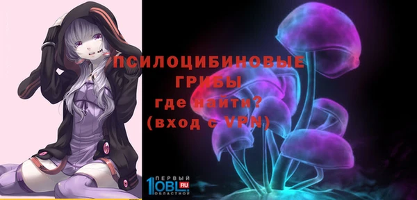 2c-b Кулебаки