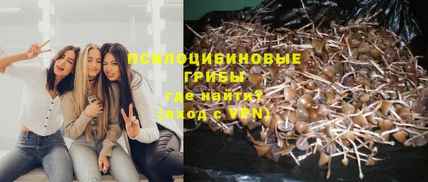 2c-b Кулебаки