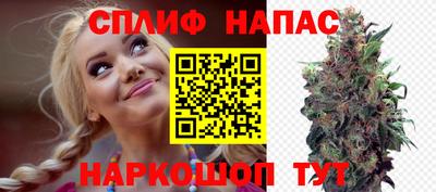 крисы Жуковский