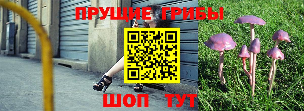 Псилоцибиновые грибы мицелий  Вход с VPN  Галлюциногенные грибы MAGIC MUSHROOMS  Хасавюрт 