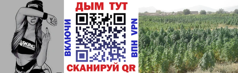 Каннабис AK-47  купить наркотик  Хасавюрт 